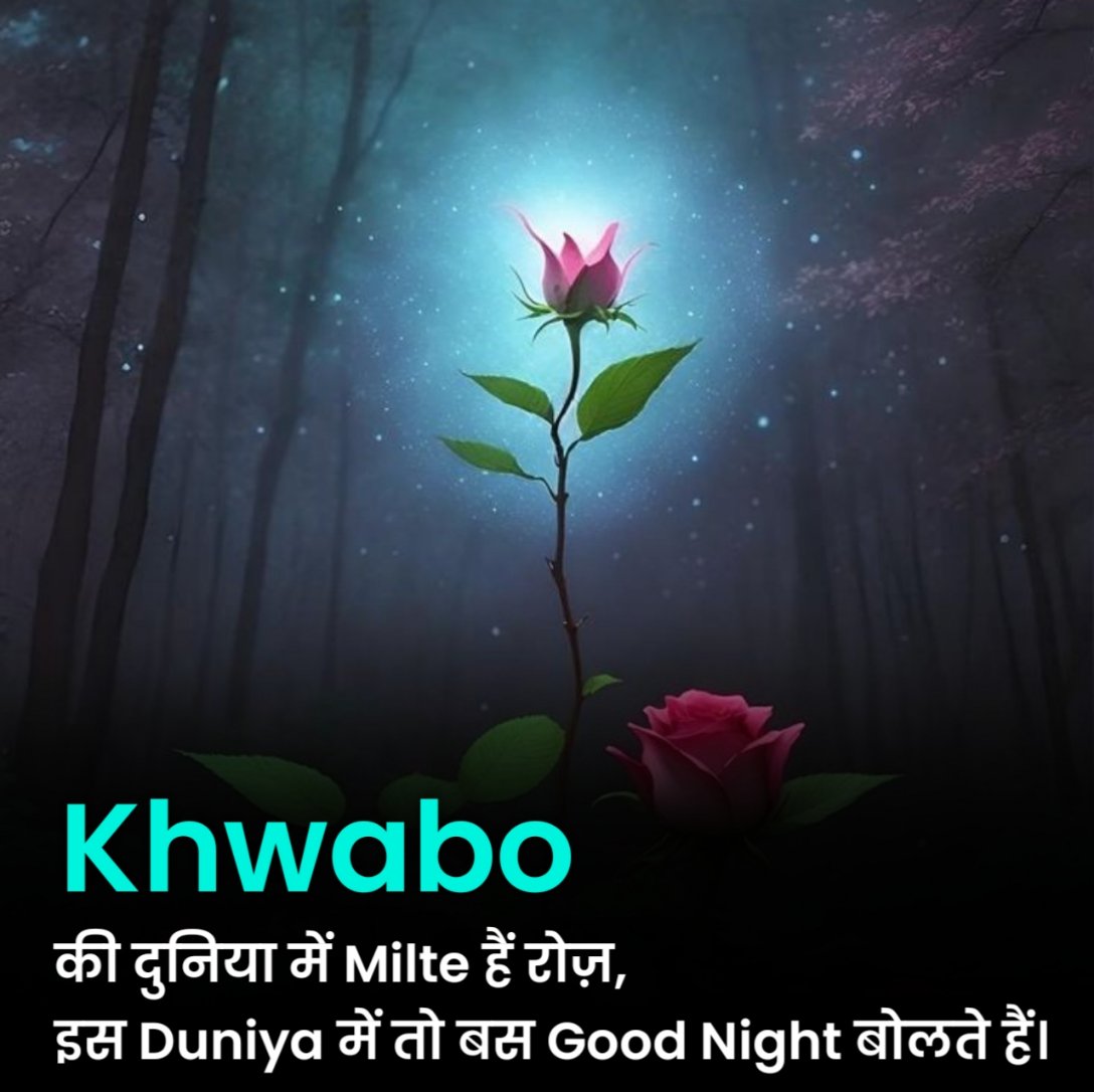 गुड नाईट शायरी हिंदी में